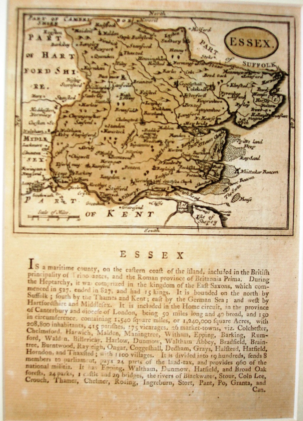 Seller 1787